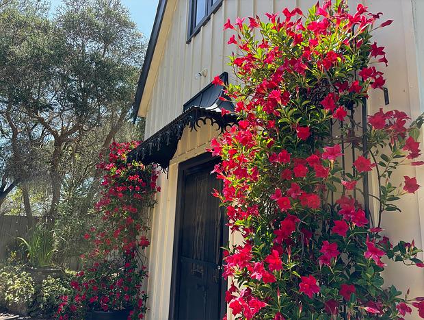 Photo 12 for Silverleaf Cottage