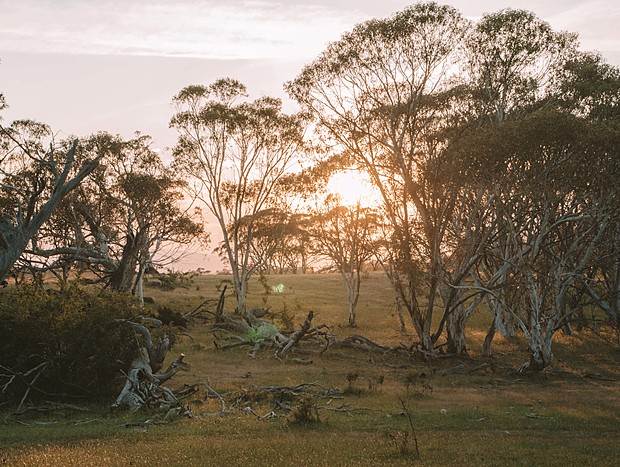Photo 10 for Big Yard Escapes farm paddocks