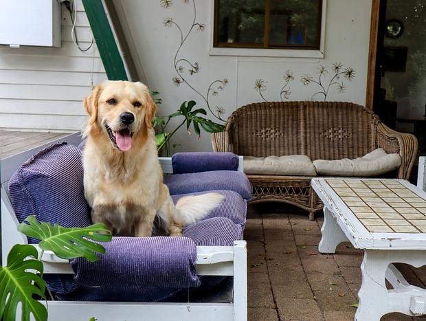 Photo 5 for Outdoor Baths & Beach Shack Bliss