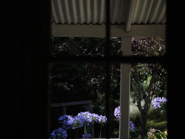 Photo 24 for Dreamy Country Homestead on Cattle Farm
