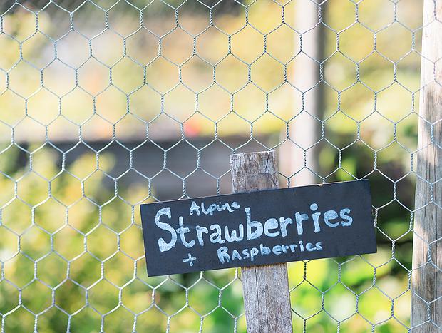 Photo 31 for Dreamy Country Homestead on Cattle Farm