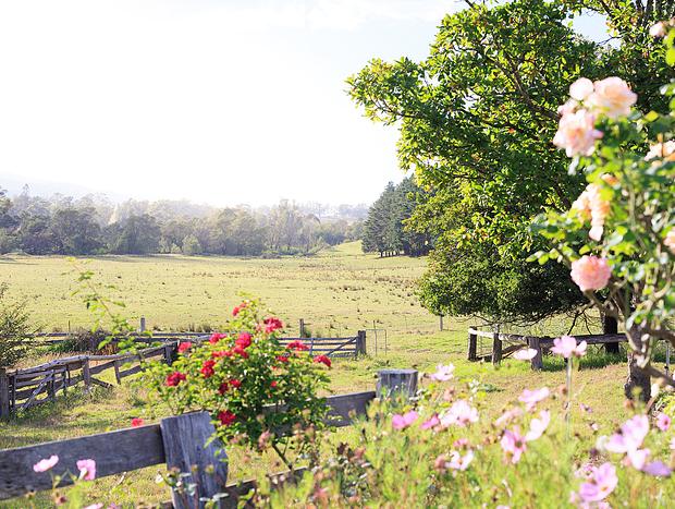 Photo 39 for Dreamy Country Homestead on Cattle Farm