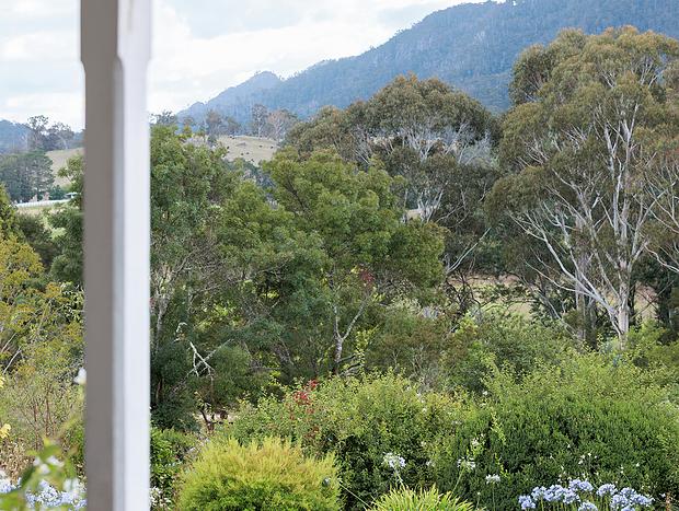 Photo 41 for Dreamy Country Homestead on Cattle Farm