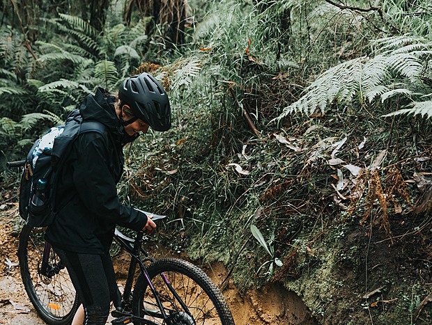 Photo 5 for Mountain Biking the Forrest