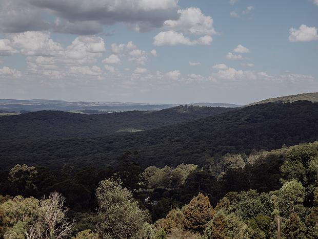 Photo 30 for A Serene Stay Among the Treetops
