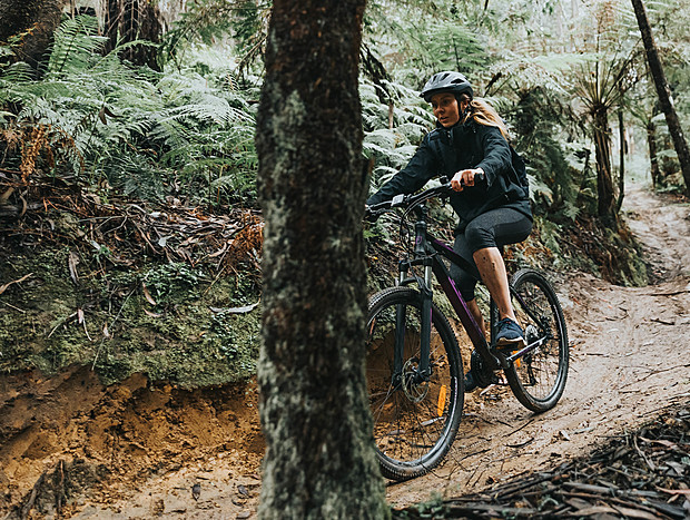 Photo 1 for Mountain Biking the Forrest