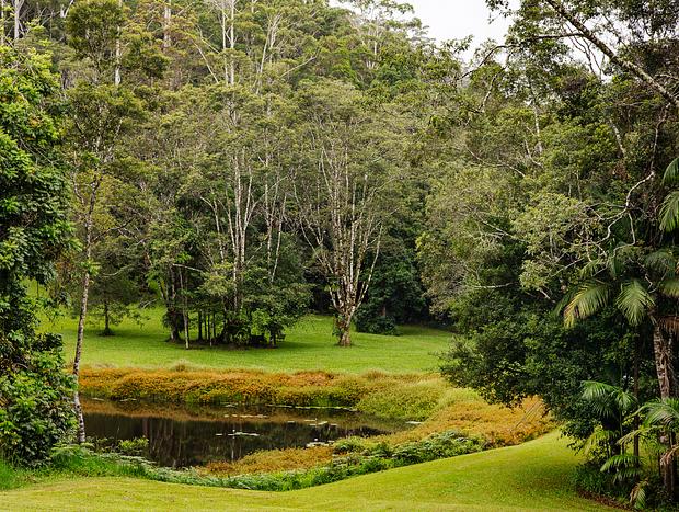 Photo 40 for Rose Gum Cottage - Eco-Luxe - Byron Hinterland
