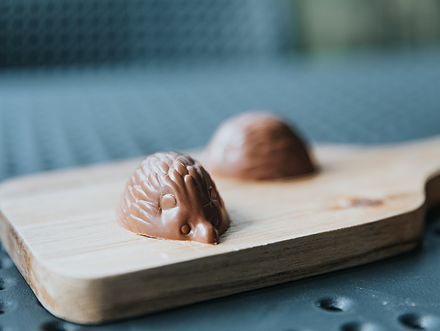 Photo 1 for Platypi Chocolate