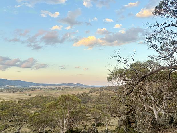 Photo 5 for Moonbah Gums