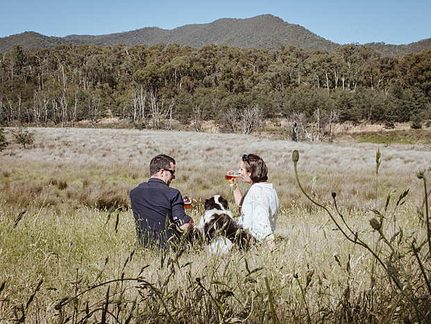 Photo 1 for Jamieson Brewery