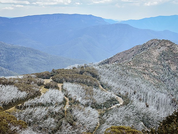 Photo 1 for Mount Buller