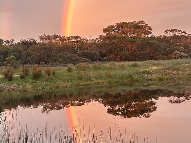 Photo 19 for Far South Paddock Coastal Farm