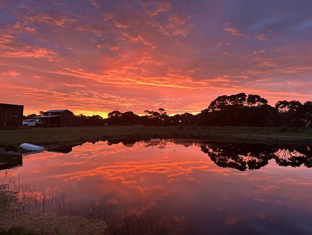 Photo 21 for Far South Paddock Coastal Farm