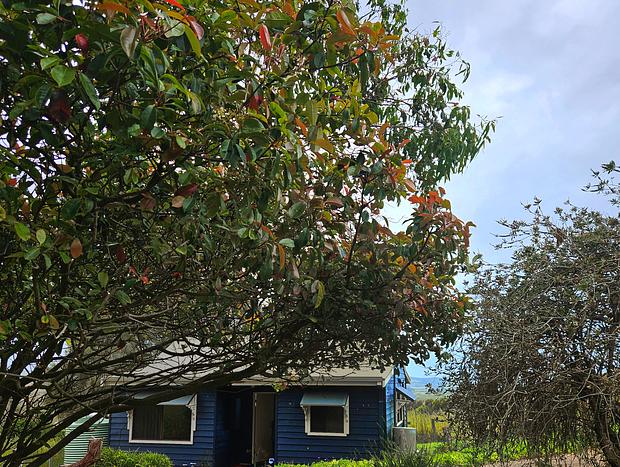 Photo 4 for 12 Apostles Cottages