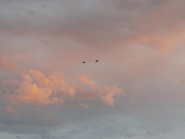 Photo 45 for Off-Grid Magic at Little Red Bedford