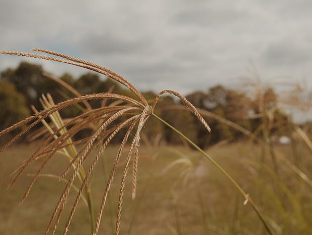 Photo 30 for Off-Grid Magic at Little Red Bedford