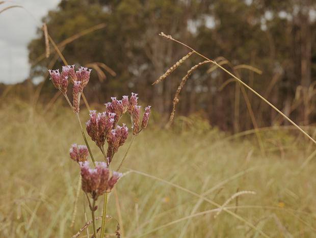 Photo 35 for Off-Grid Magic at Little Red Bedford
