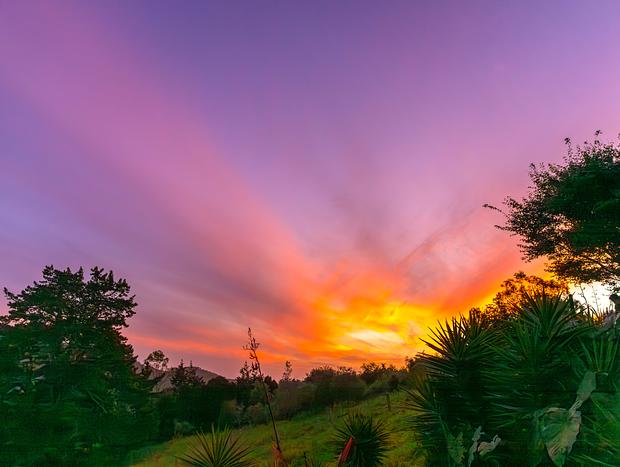 Photo 9 for Spa, Sauna & Serenity: A Hidden Kiwi Gem