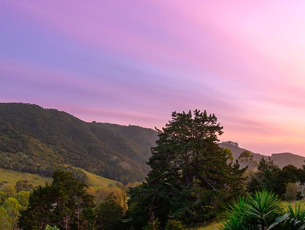 Photo 23 for Spa, Sauna & Serenity: A Hidden Kiwi Gem