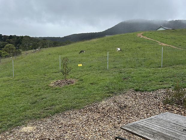 Photo 21 for Cosy Tiny Home with Valley views