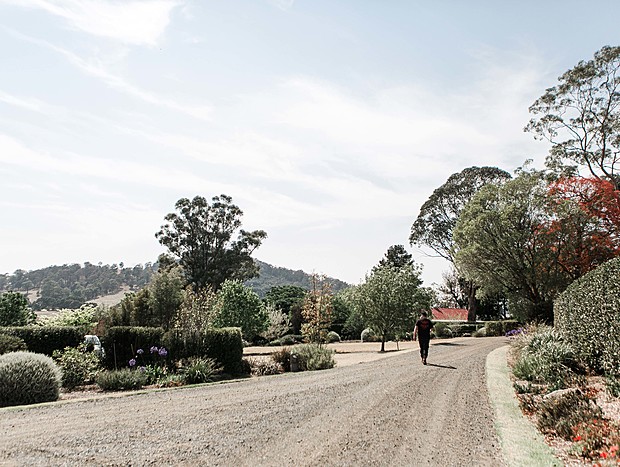 Photo 6 for Walking track