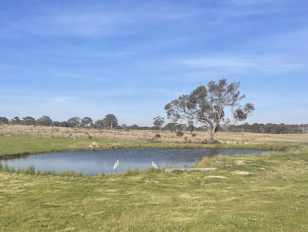 Photo 12 for Rust & Timber Farm Stay