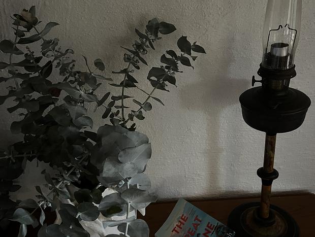 Photo 10 for Melanesia Cottage – Off-Grid Forest Escape Near the Great Ocean Walk