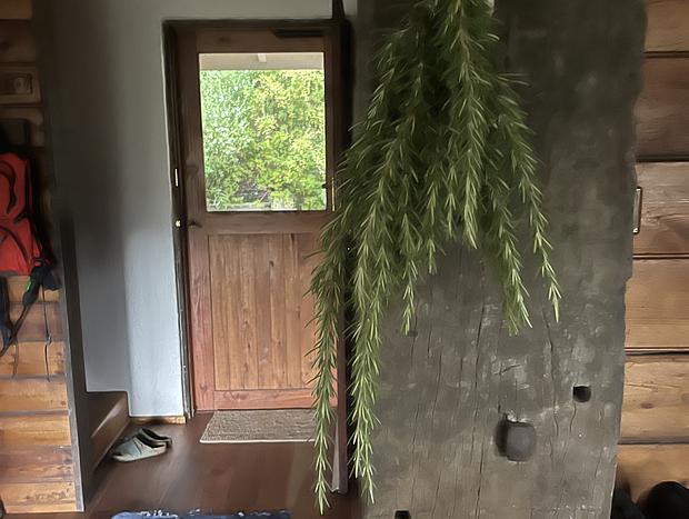 Photo 6 for Melanesia Cottage – Off-Grid Forest Escape Near the Great Ocean Walk