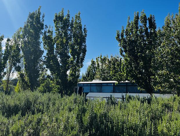 Photo 11 for Elite stays on Cathedral - Cool Bus - Converted School Bus