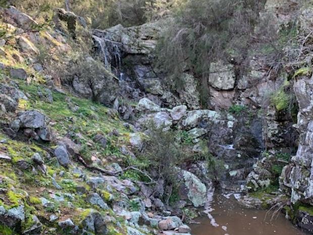 Photo 8 for Secluded Cottage - Murrumbidgee River
