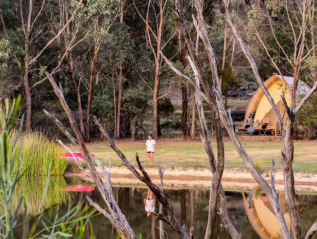 Photo 11 for Where Glamping Meets the Stars