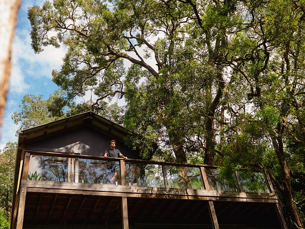 Photo 8 for Hidden Treehouse Escape