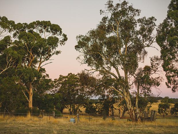 Photo 28 for Dusky Skies, Sweet Country Air