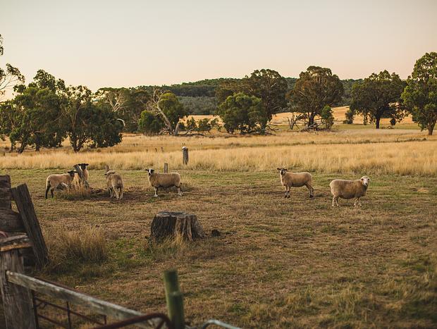Photo 26 for Dusky Skies, Sweet Country Air