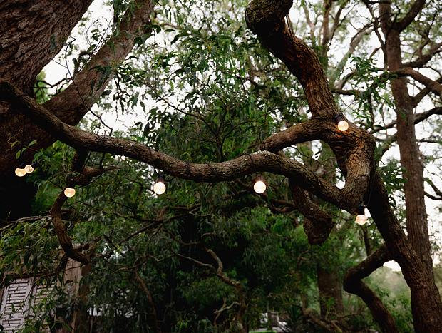Photo 30 for Hidden Treehouse Escape