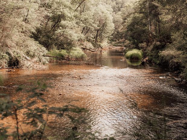 Photo 43 for Drifting Mountain Rivers