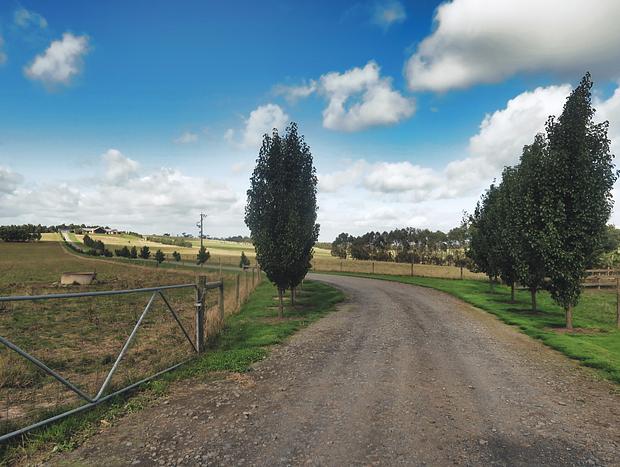 Photo 30 for Rolling hills & slow moments