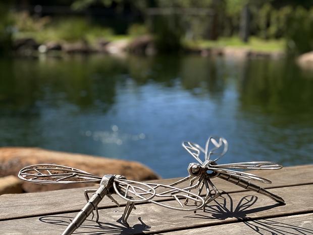 Photo 40 for Rockpool Paradise