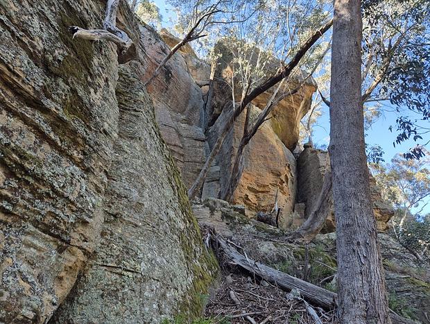 Photo 6 for Blue Mountains Glamping Retreat