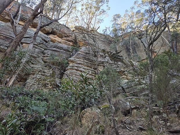 Photo 7 for Blue Mountains Glamping Retreat
