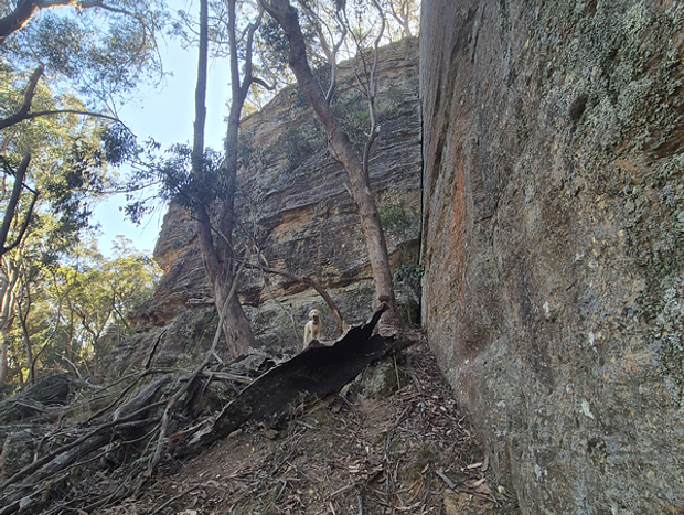Photo 8 for Blue Mountains Glamping Retreat