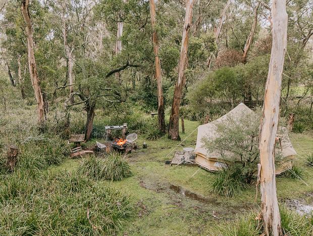 Photo 25 for Bell tent diaries by the creek