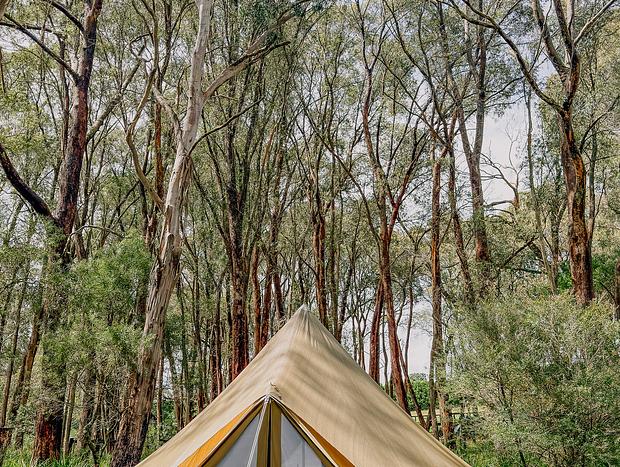 Photo 12 for Bell tent diaries by the creek