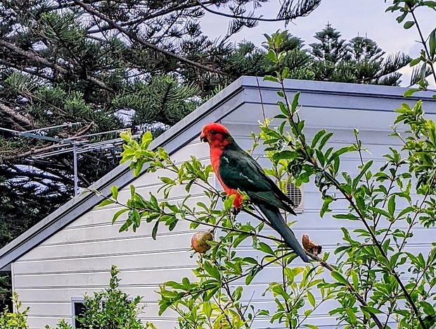 Photo 10 for Anam by the Sea Bundeena