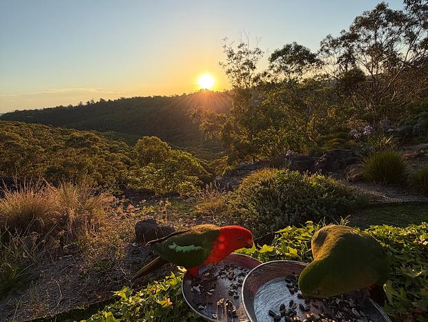Photo 5 for Sunset Vista - Cliff Edge Home with Valley Views