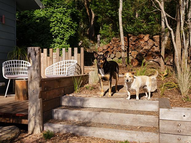 Photo 22 for Sheoak Shanty - Hawkesbury Waterfront Retreat