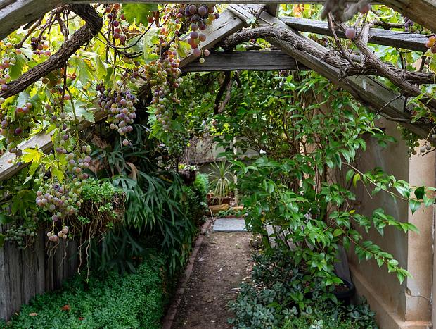 Photo 30 for Timeless cottage escape in Castlemaine