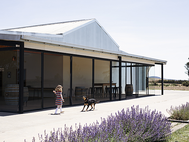 Photo 1 for Eastern Peake Vineyard