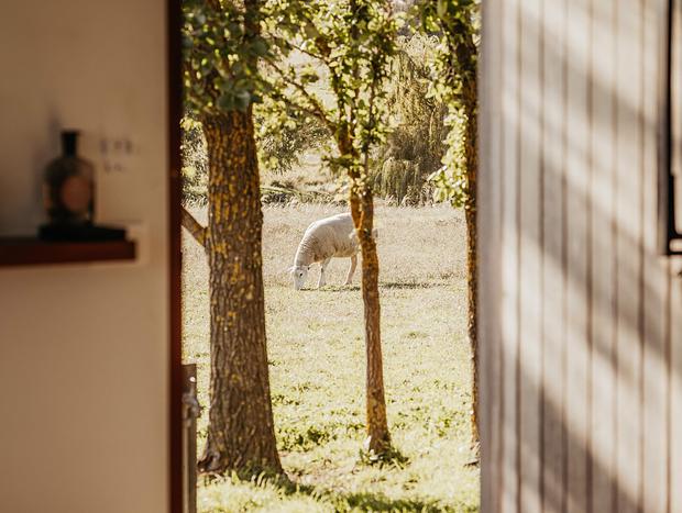 Photo 26 for Luxury in the Countryside
