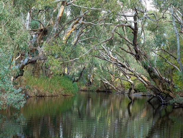 Photo 5 for Zamenhof Cabin on Yass River - Private Farm Stay